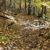 Review photo of Brassie Brook Shelter - Bear Mountain — Appalachian National Scenic Trail by Tina D., September 29, 2018