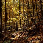 Review photo of Brassie Brook Shelter - Bear Mountain — Appalachian National Scenic Trail by Tina D., September 29, 2018