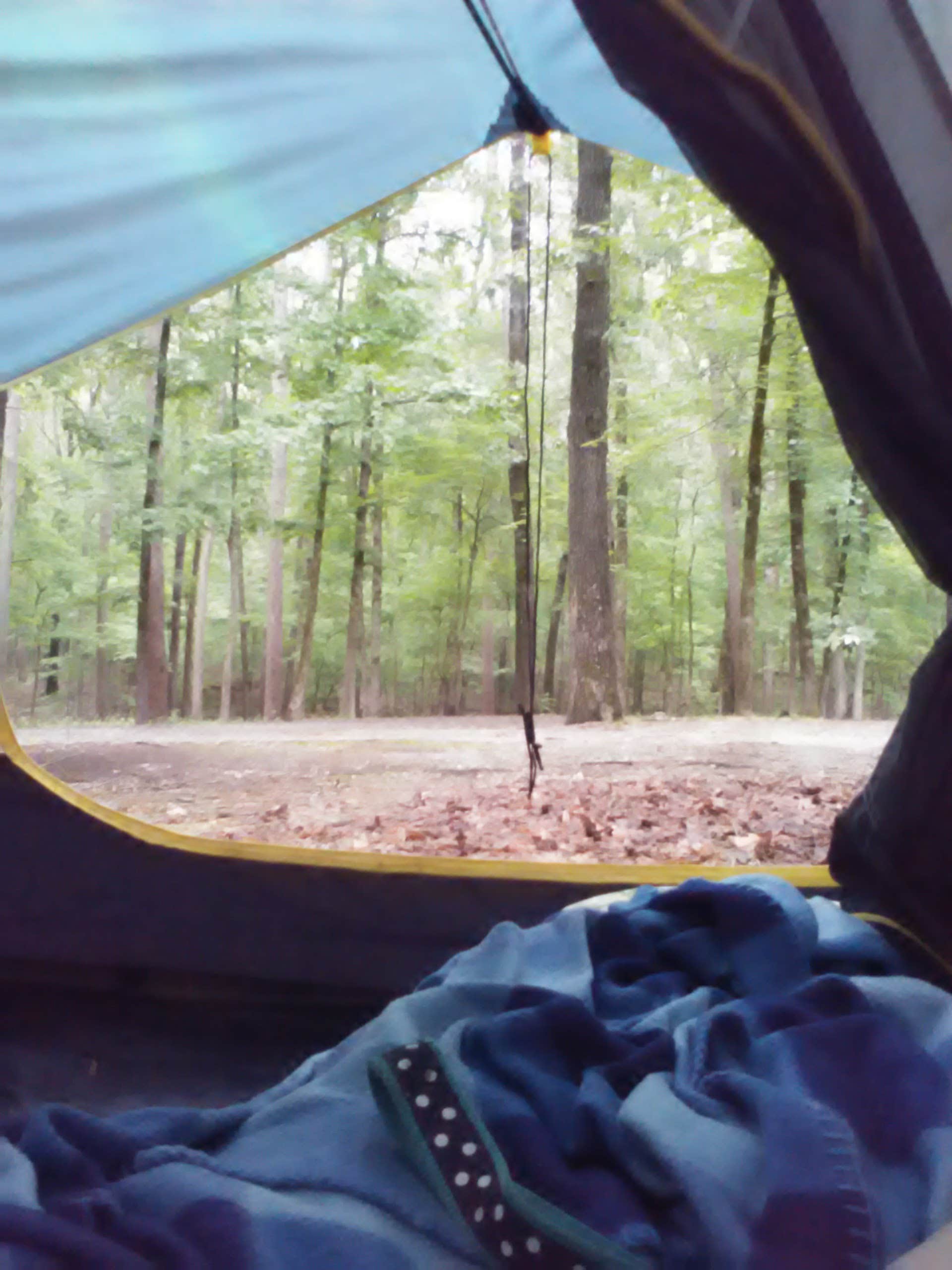 Camper submitted image from Denby Point - 2