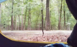 Cheryl-Kay F.'s photo at Denby Point near Oden, AR