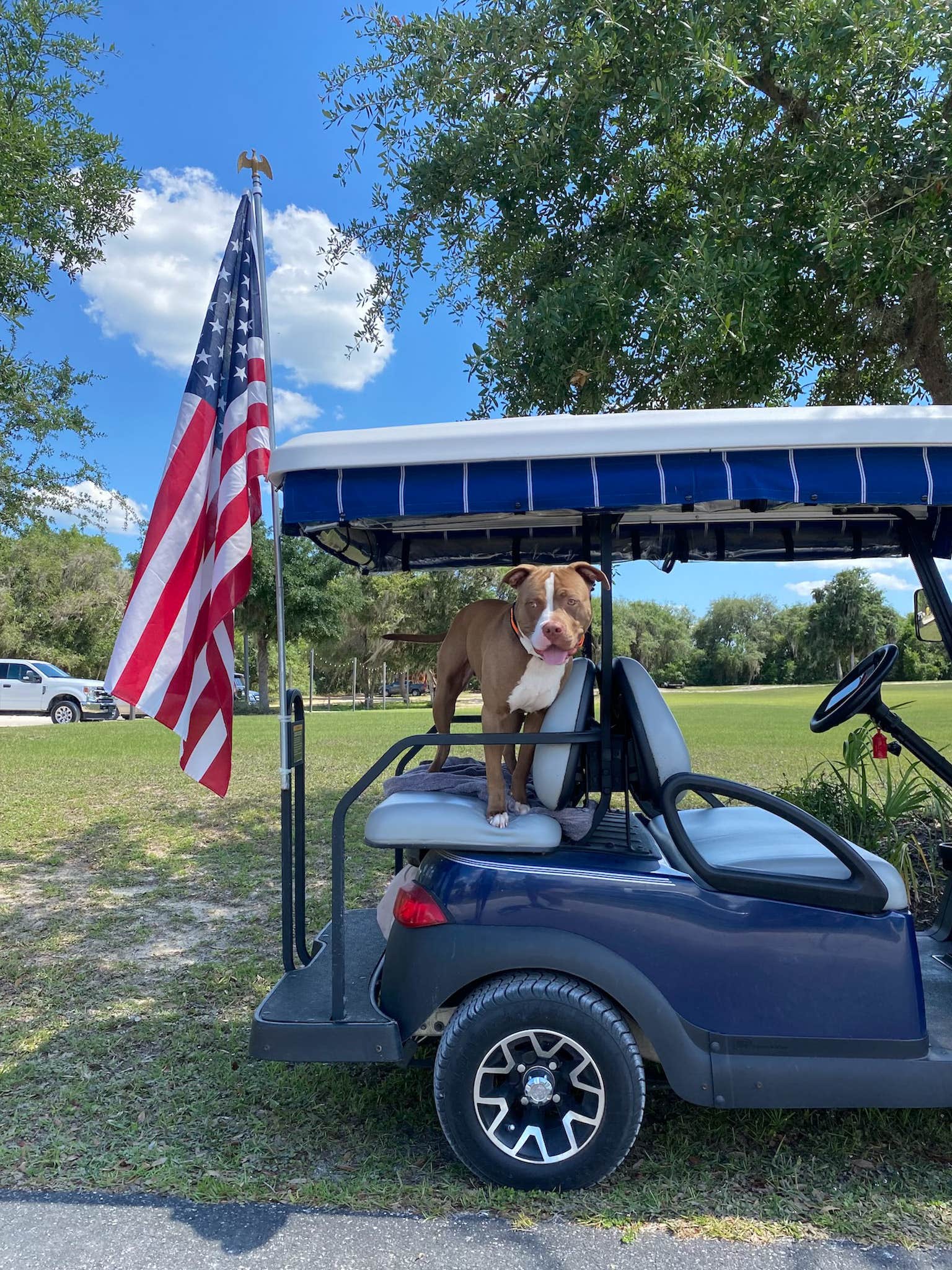 Savya's photo of camping with pets at Lake Oklawaha RV Park near Micanopy, FL
