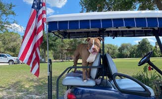 Savya's photo of camping with pets at Lake Oklawaha RV Park near Micanopy, FL