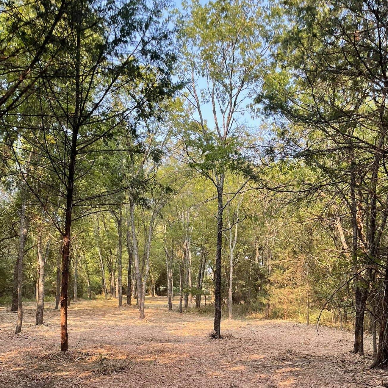 Camping near Oak Grove Campground — Cooper Lake State Park South Sulphur Unit: Nature Trails Staycation RV Pak, Commerce, Texas