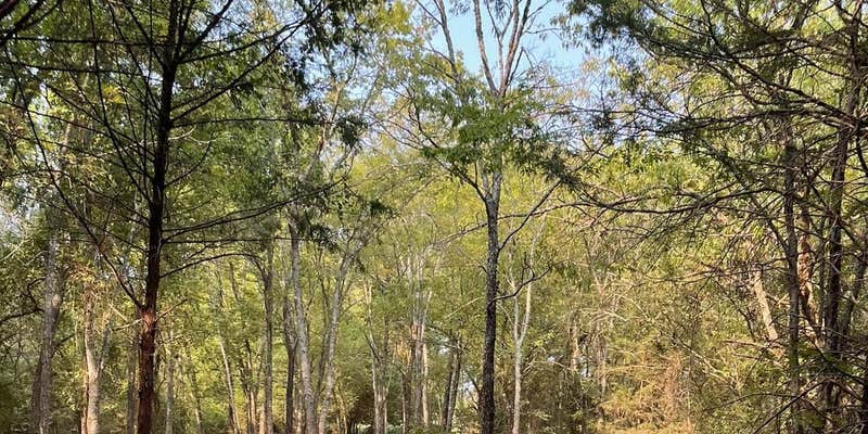 Camper submitted image from Nature Trails Staycation RV Pak