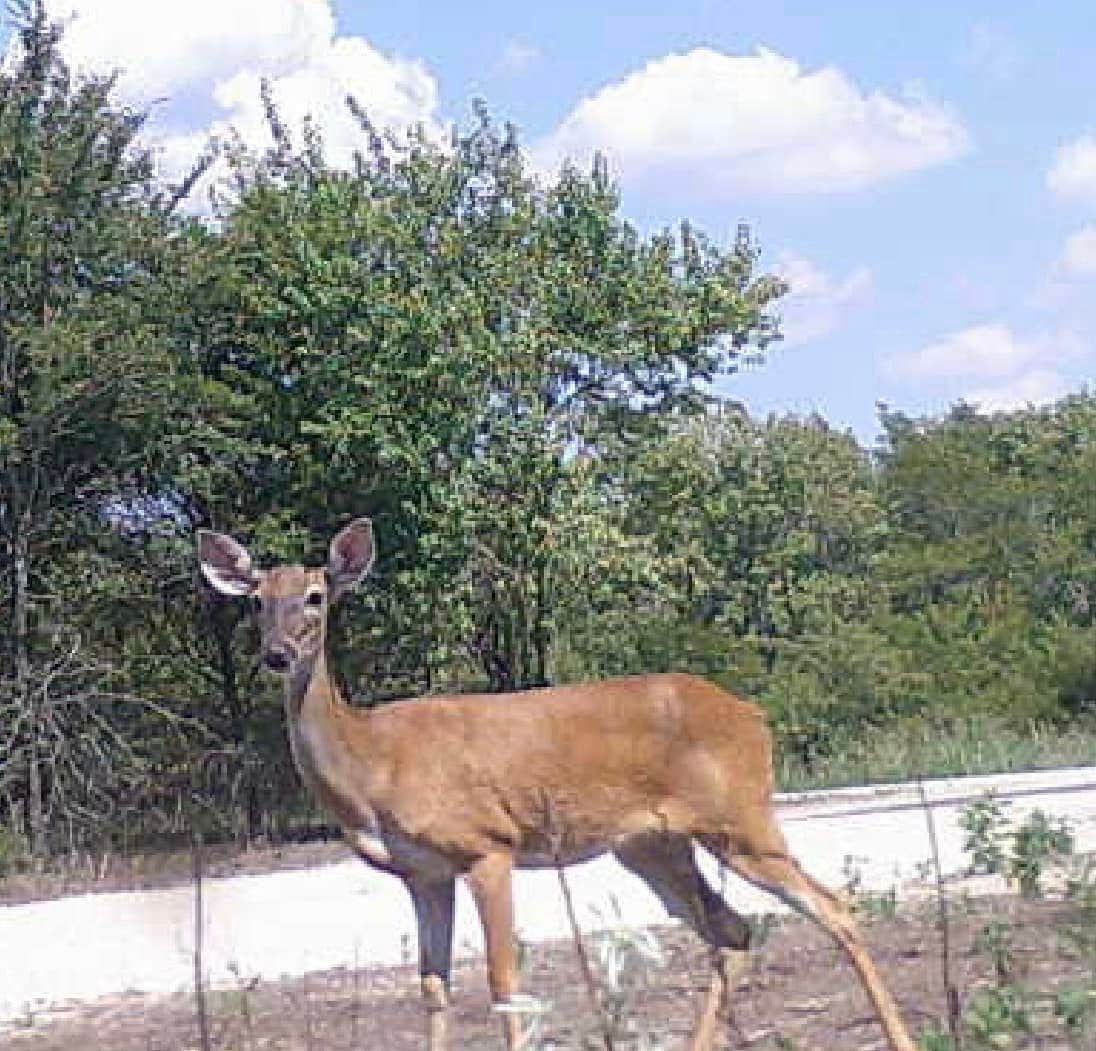 Camper submitted image from Nature Trails Staycation RV Pak - 2
