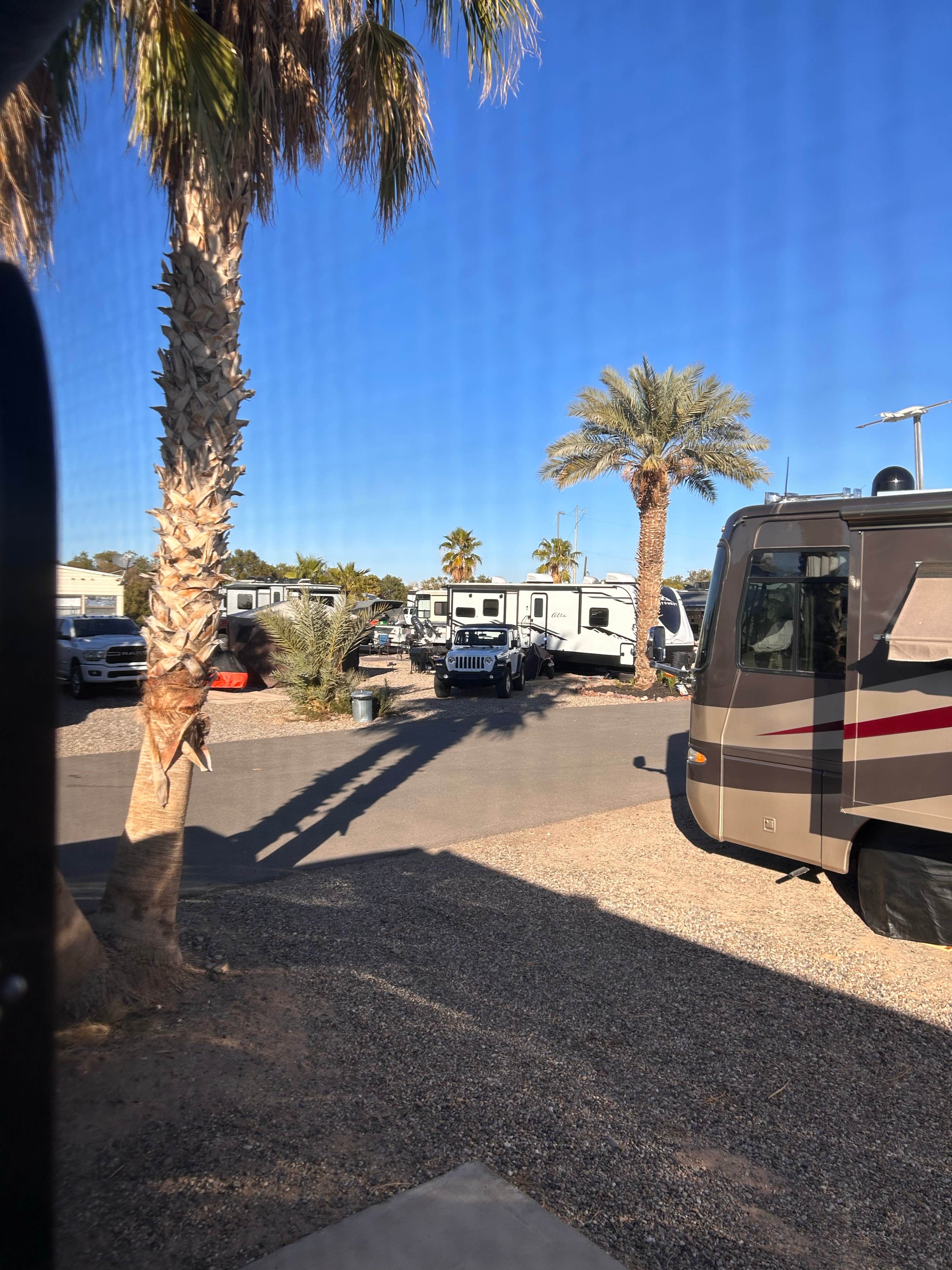 Camper submitted image from Southern Mesa RV Park - 2