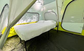 Bryan C.'s photo of tent camping at Nature near Mancelona, MI