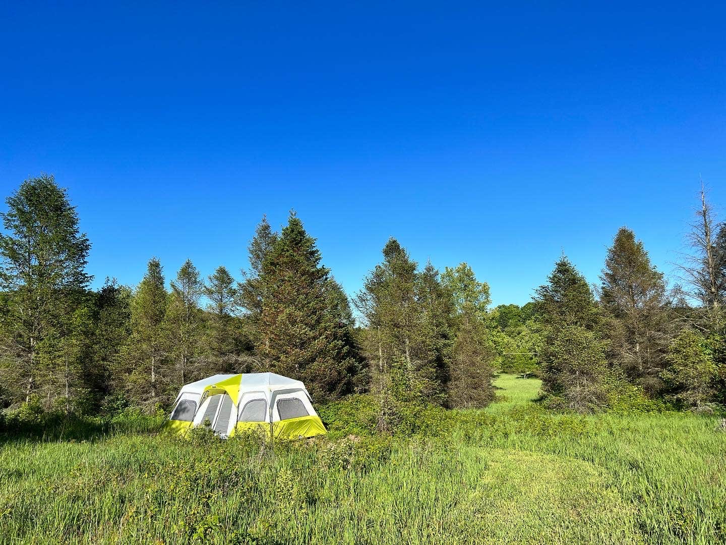 Camper-submitted photo at Nature near Maple City, MI