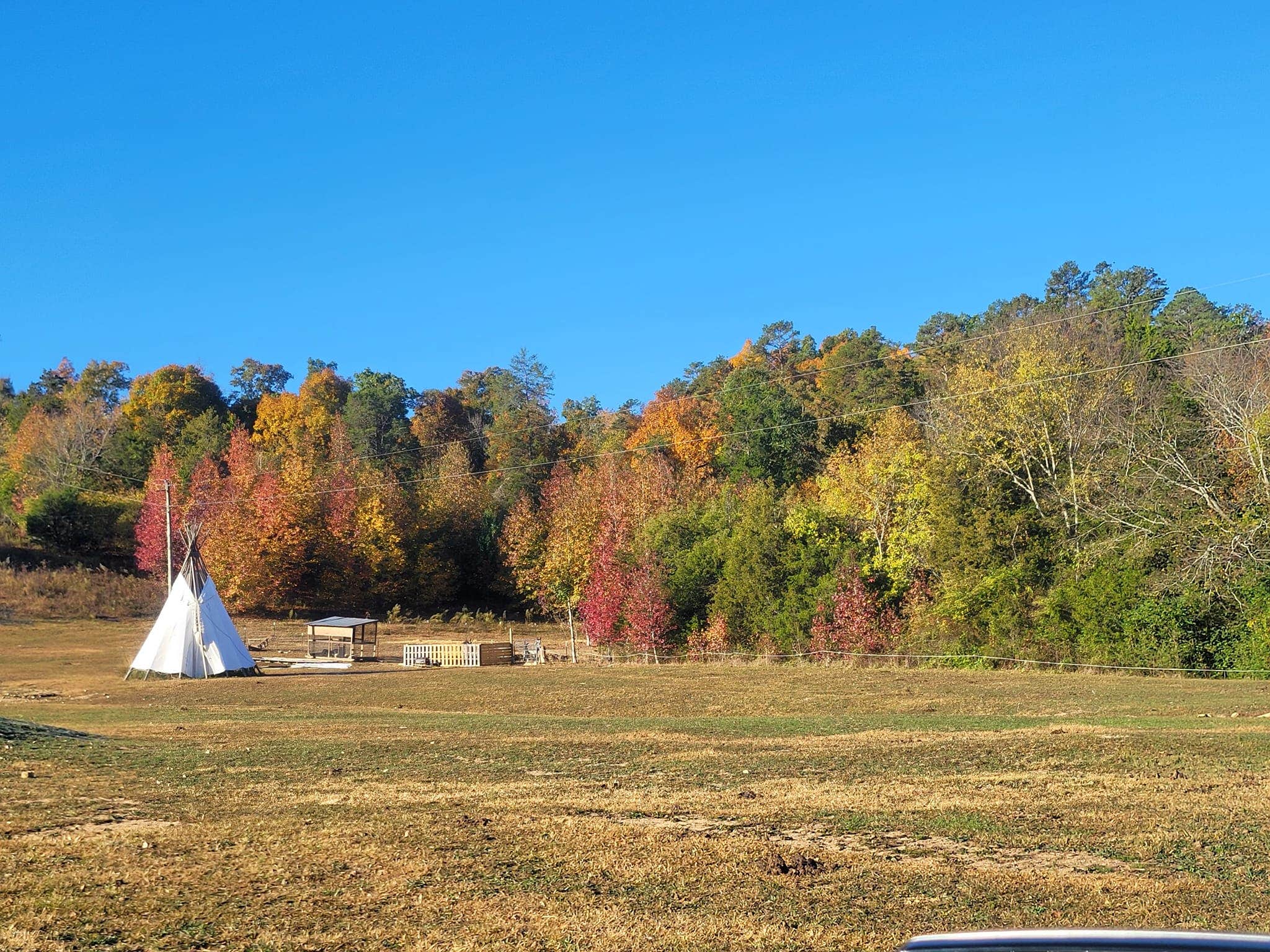Bucks R.'s photo at Bucks Ranch near Natchez Trace Parkway