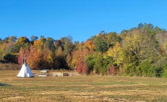 Bucks R.'s photo at Bucks Ranch near Natchez Trace Parkway
