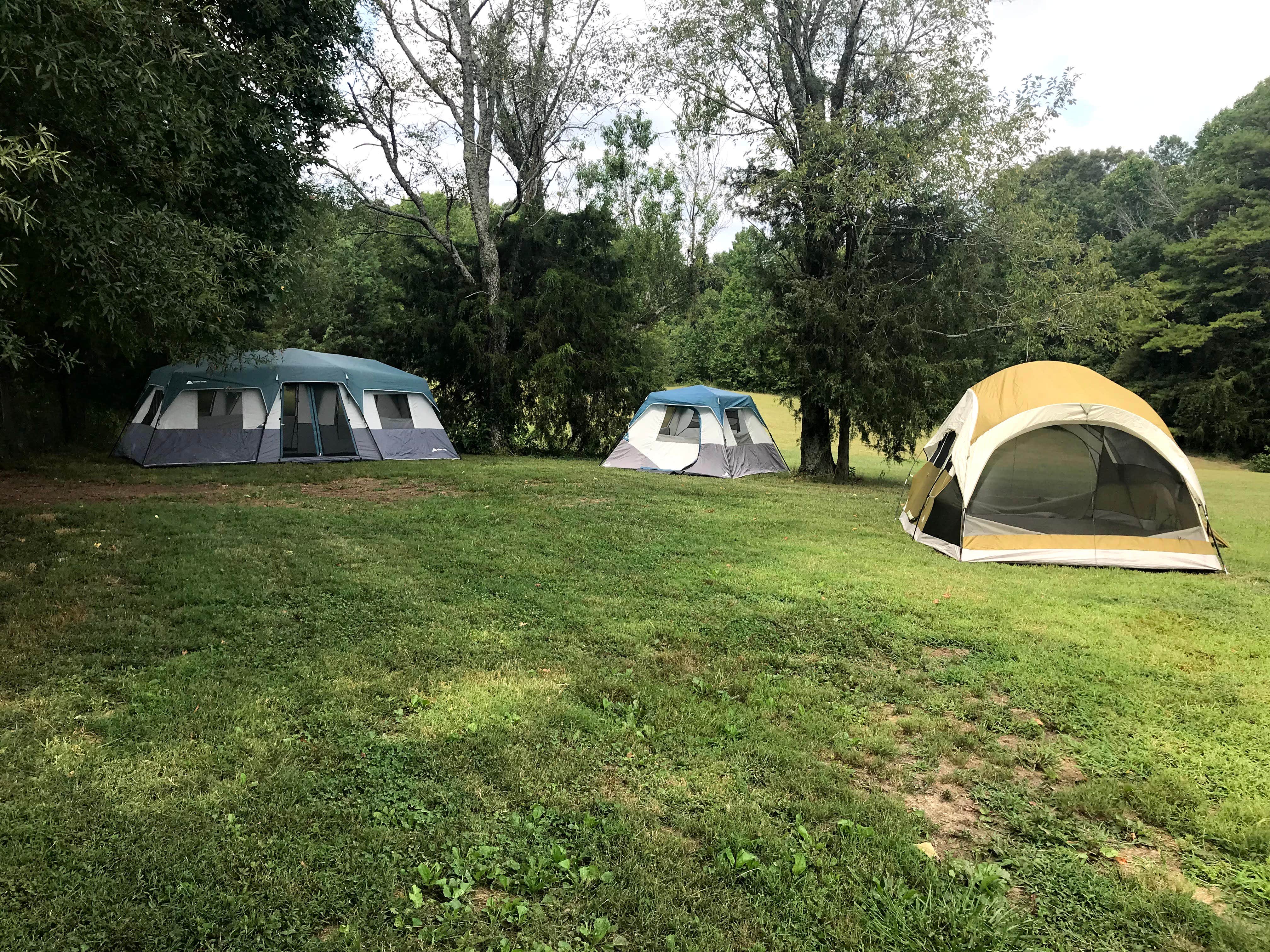 Freddie's photo at Star Party Barn near Midland, NC