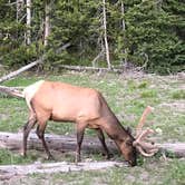 Review photo of Fern Lake — Yellowstone National Park by Karla B., September 29, 2018