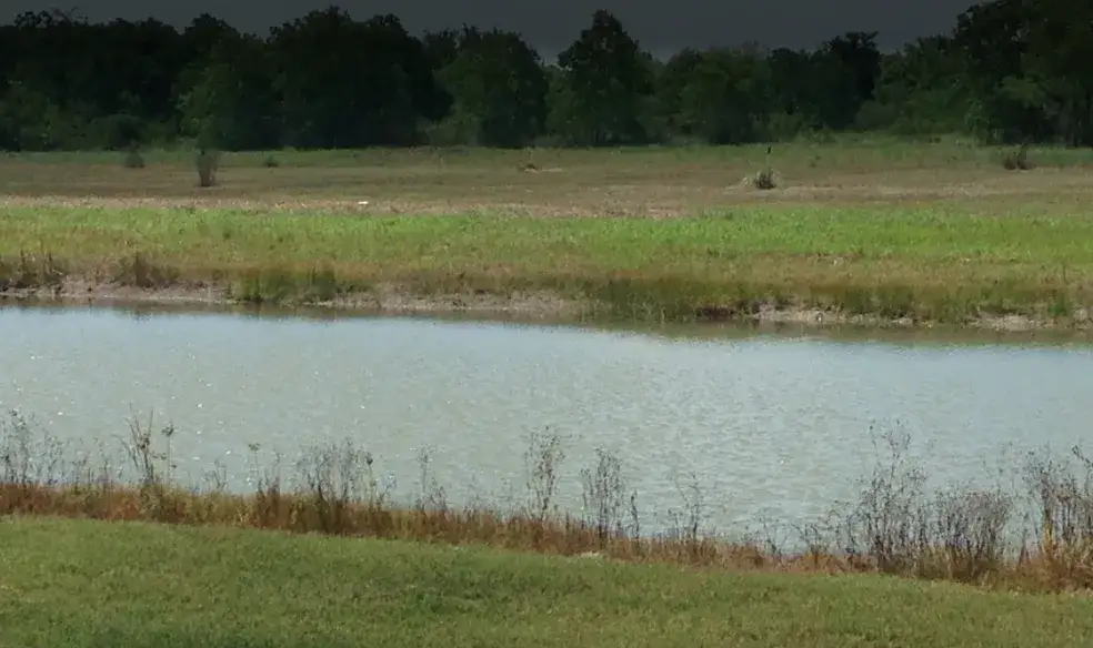 Camper-submitted photo at Bastrop Bayou RV Park near Angleton, TX