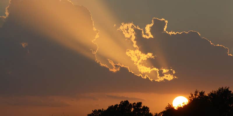 Camper submitted image from Big Cypress RV Park