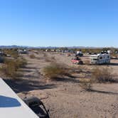 Review photo of Hi Jolly BLM Dispersed Camping Area by Ray F., January 27, 2023