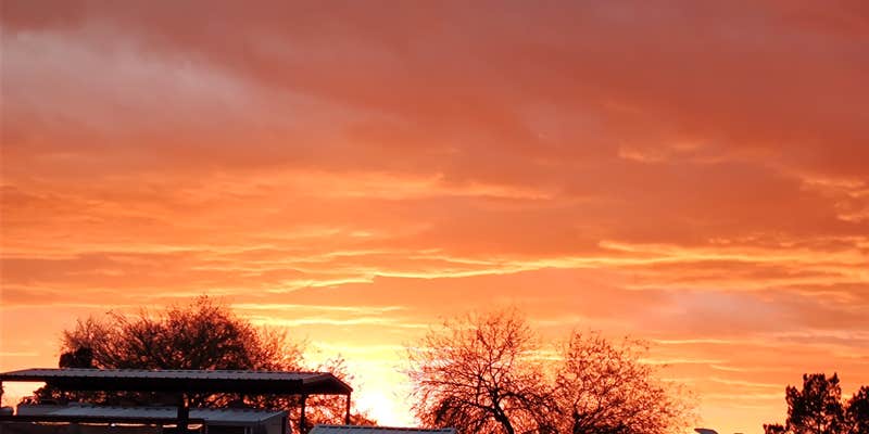 Camper submitted image from Wayside Oasis RV Park