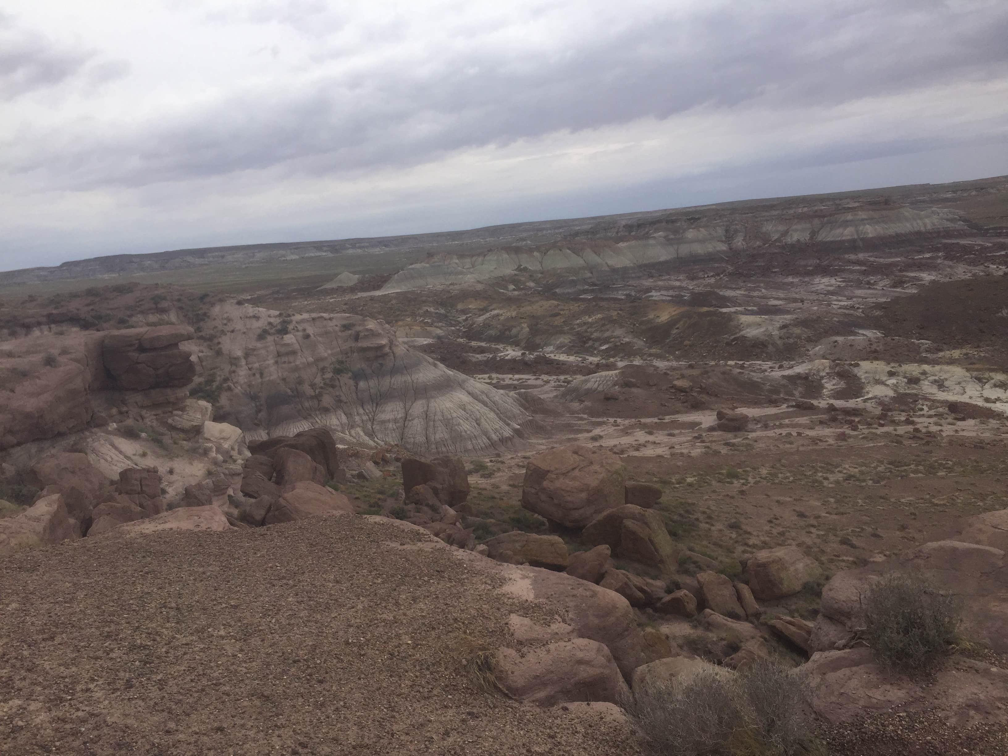 Holbrook/Petrified Forest KOA