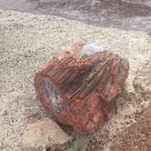 Review photo of Holbrook/Petrified Forest KOA by Alison C., September 29, 2018