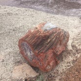 Review photo of Holbrook/Petrified Forest KOA by Alison C., September 29, 2018