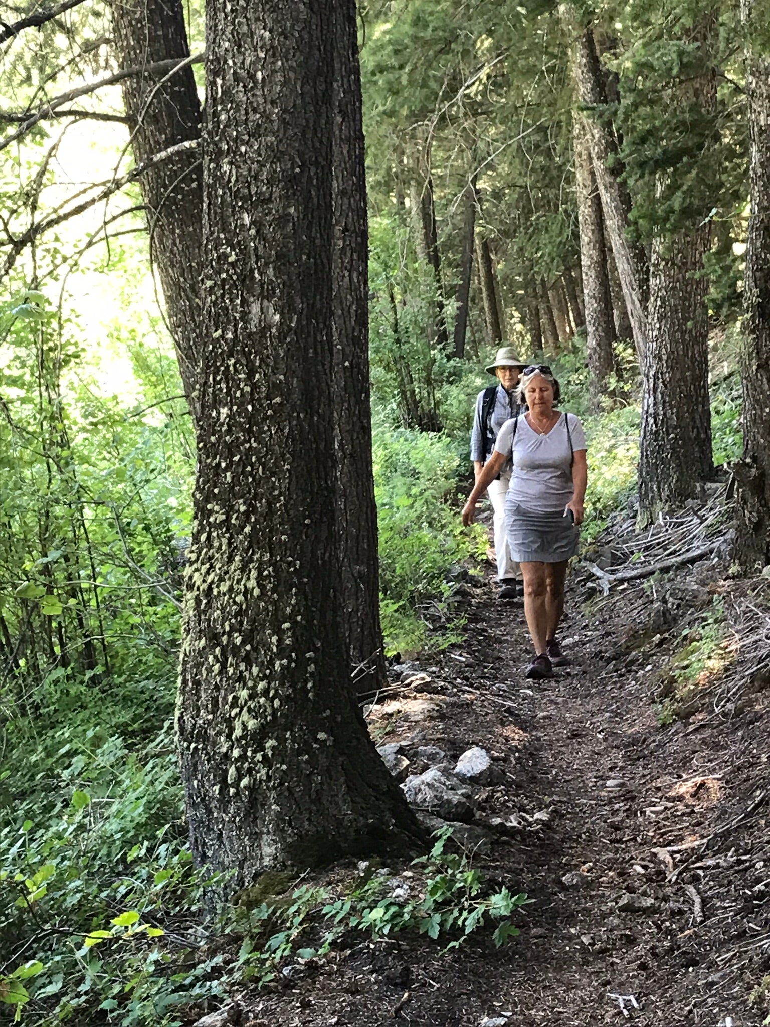 Hiking on the Boulder Creek trail.