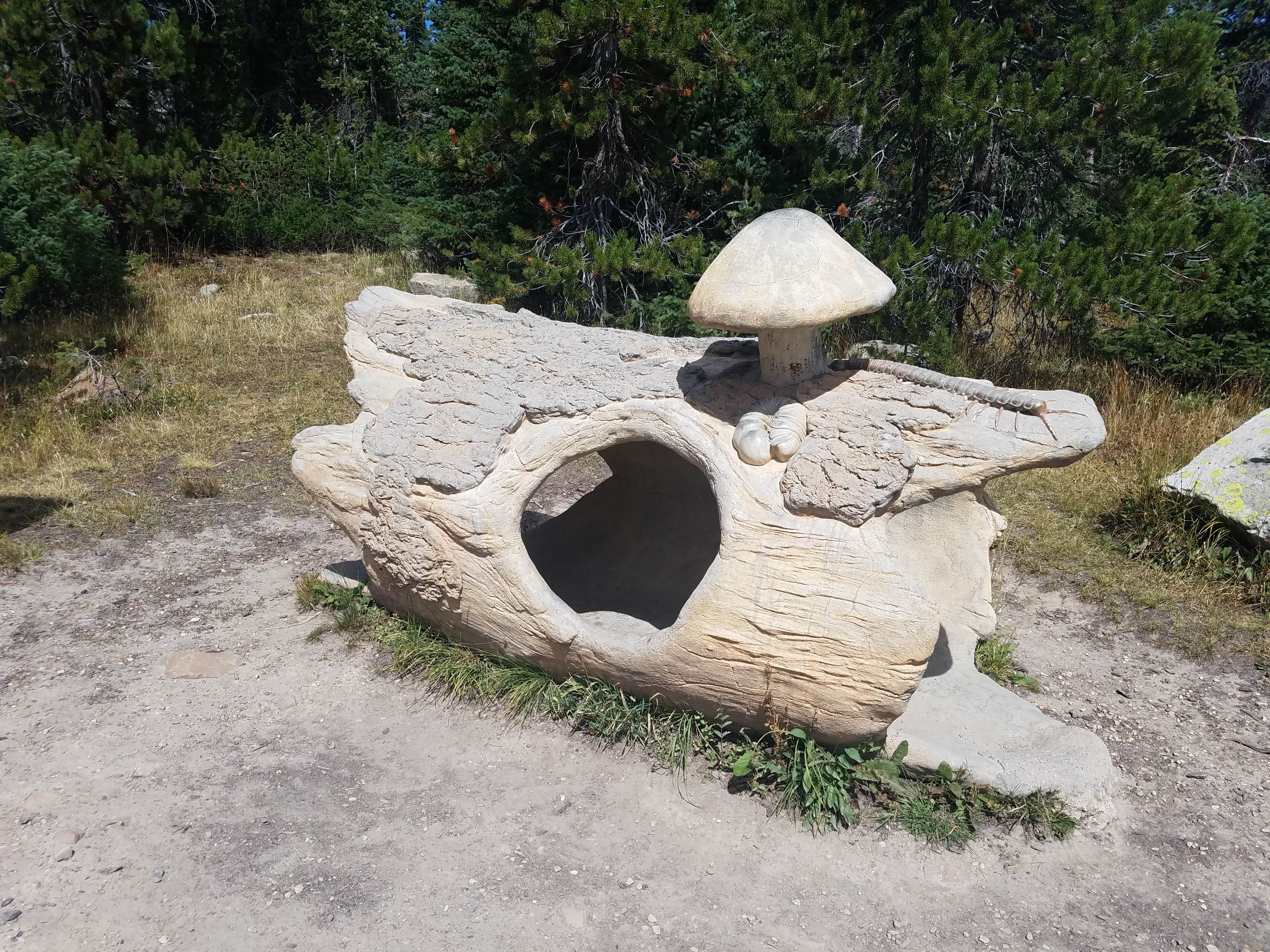 Alan B.'s photo of camping with pets at Mirror Lake - Uinta Wasatch Cache National Forest near Evanston, WY