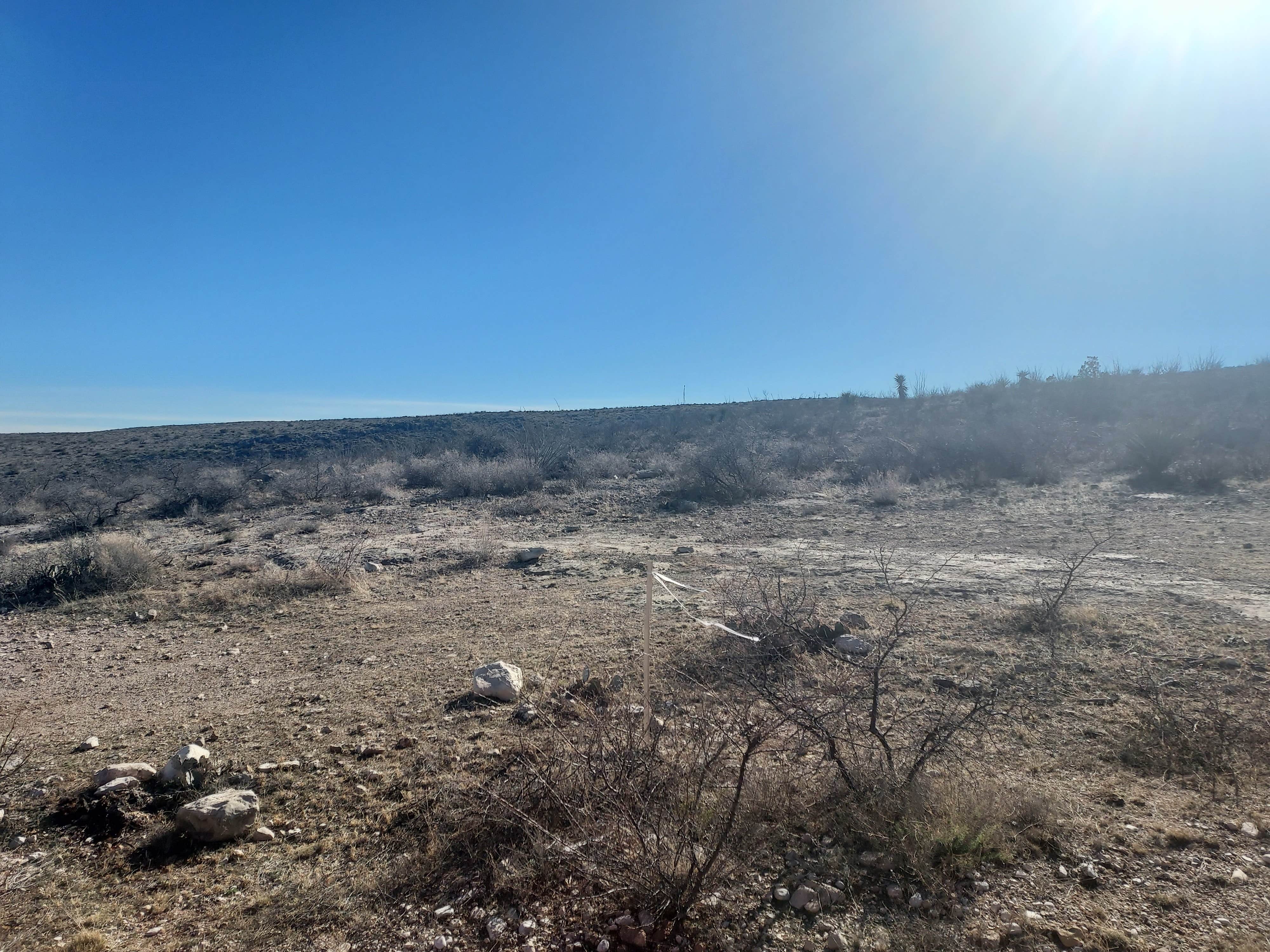 Camper-submitted photo at Dark Canyon Dispersed near Whites City, NM