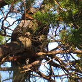 Review photo of Hammonasset State Park Campground by Tina D., September 29, 2018