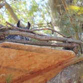 Review photo of Hammonasset State Park Campground by Tina D., September 29, 2018