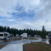 Review photo of Fern Lake — Yellowstone National Park by Mondo Moto Media , September 14, 2022