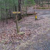 Review photo of Hickory Gap by Josh W., January 28, 2023