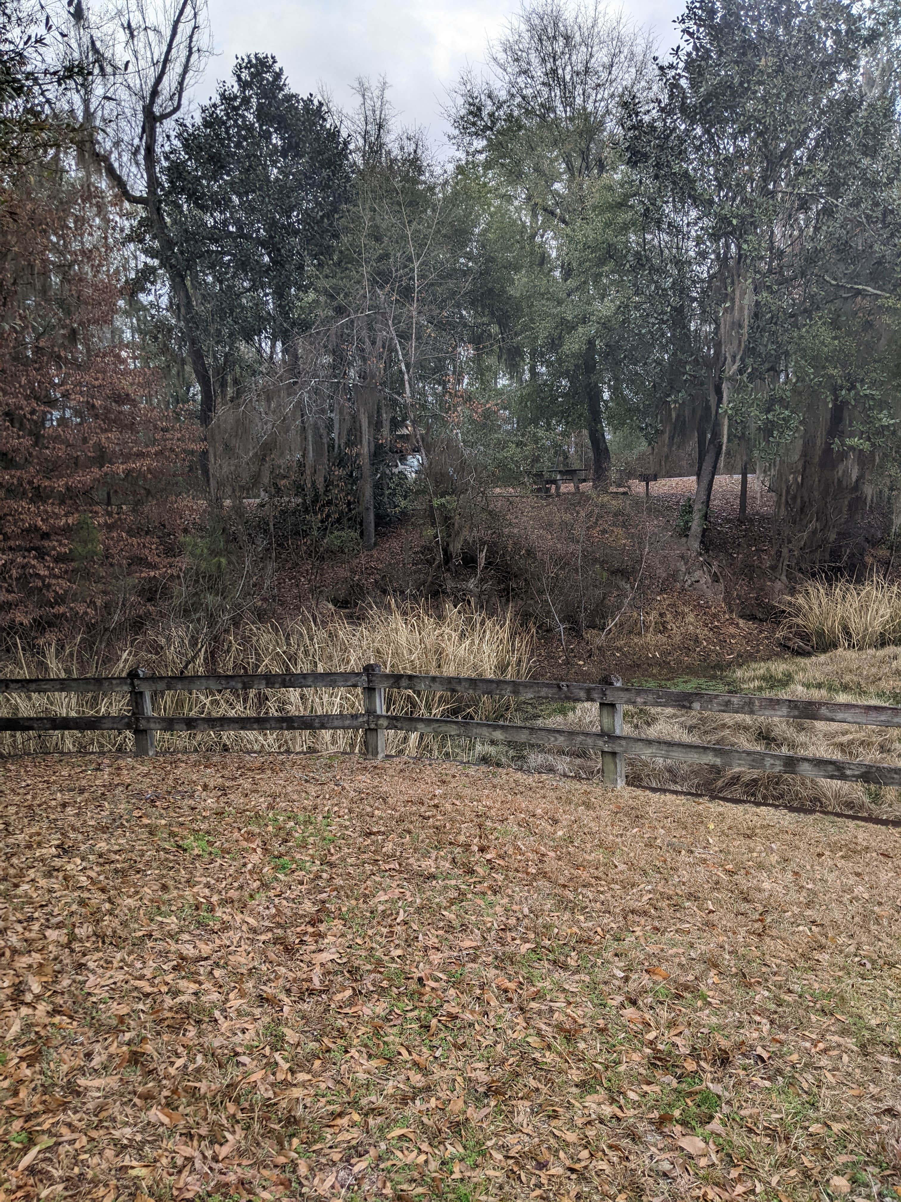 Camper-submitted photo at Rood Creek Park Camping near Walter F. George Lake