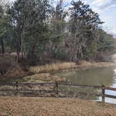 Review photo of Rood Creek Park Camping by Josh W., January 28, 2023