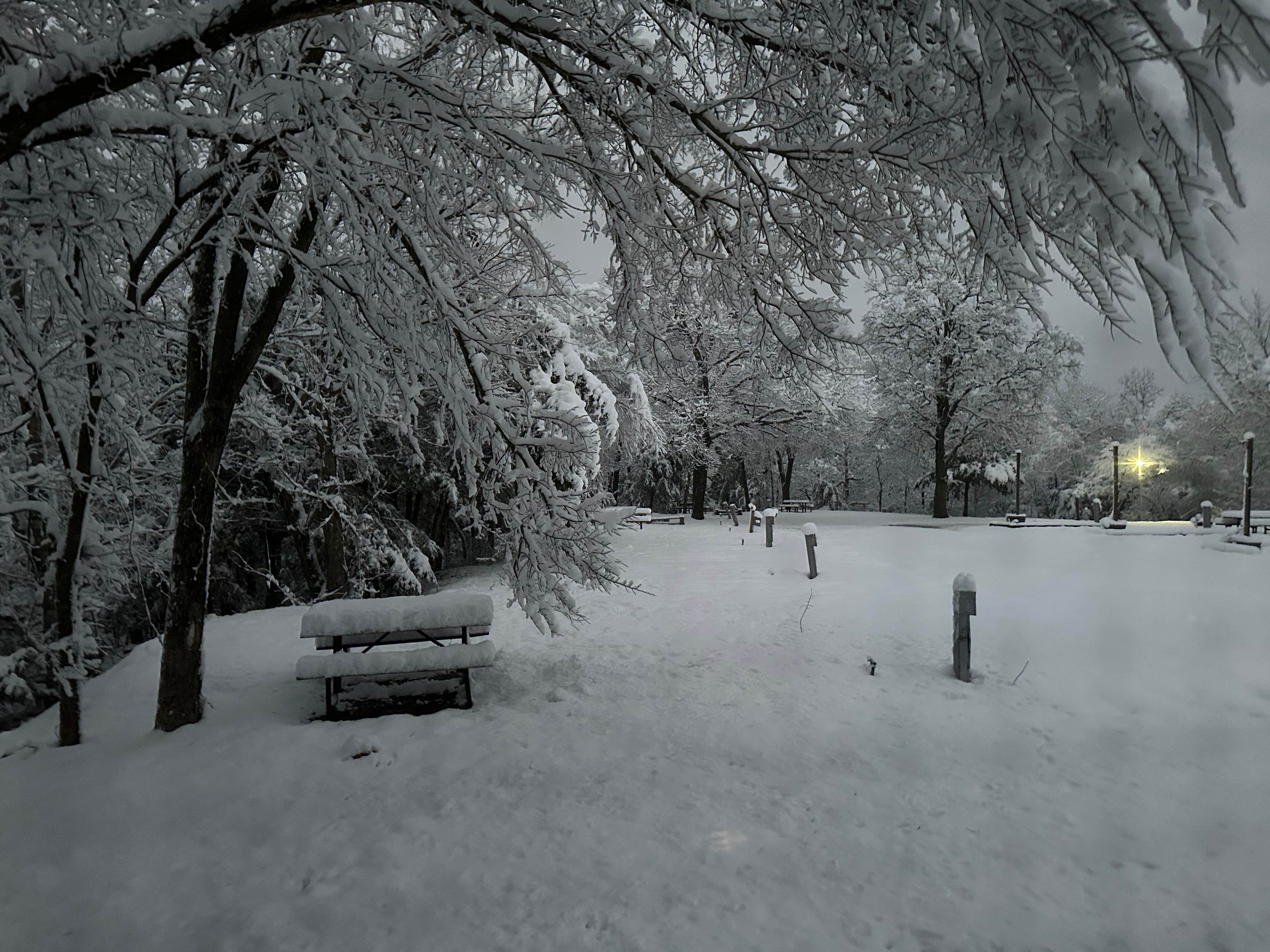 Camper-submitted photo at Green Tree Campground & RV Park near Berryville, AR