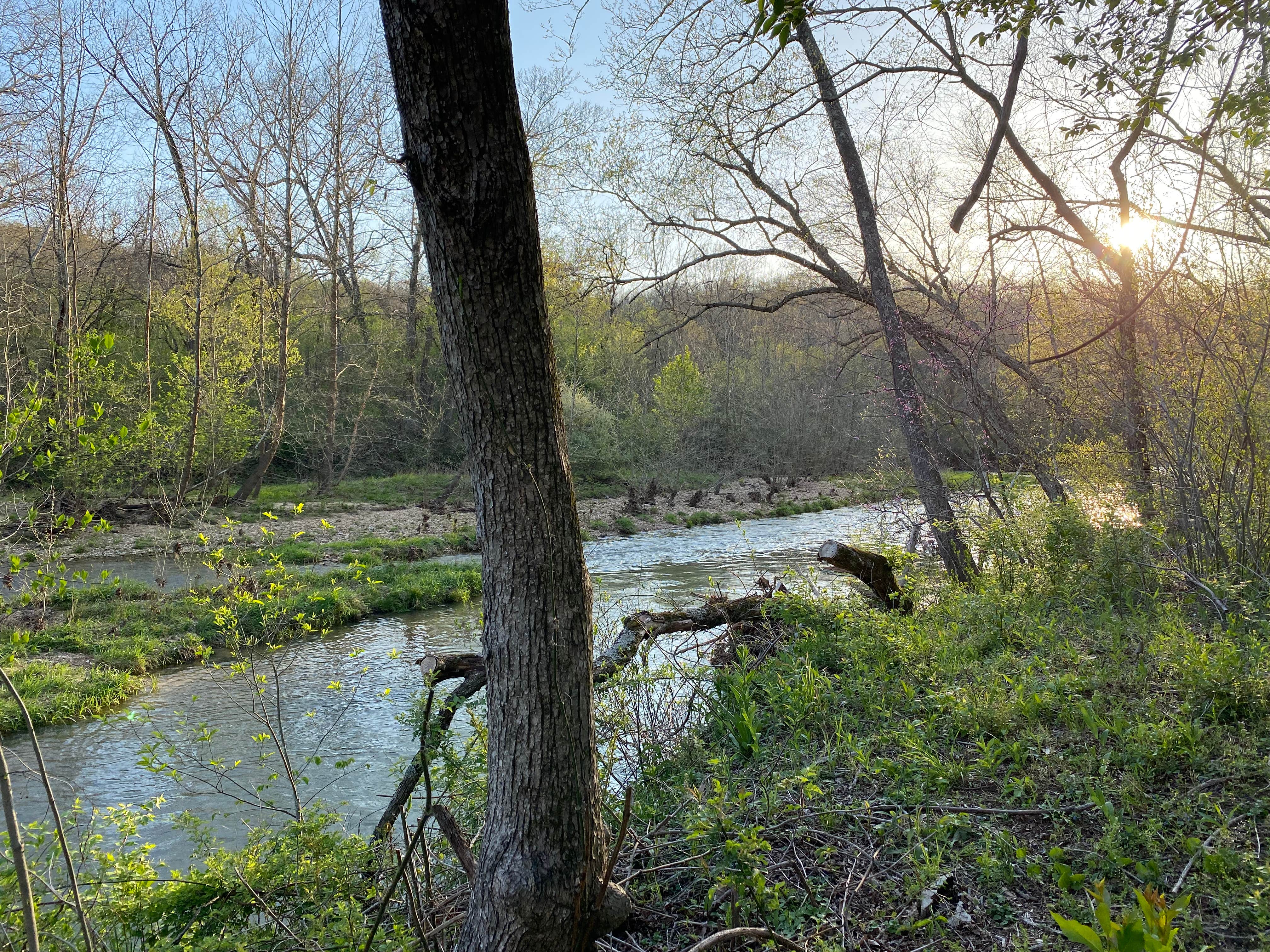 Camper submitted image from Lane Spring Recreation Area - 3