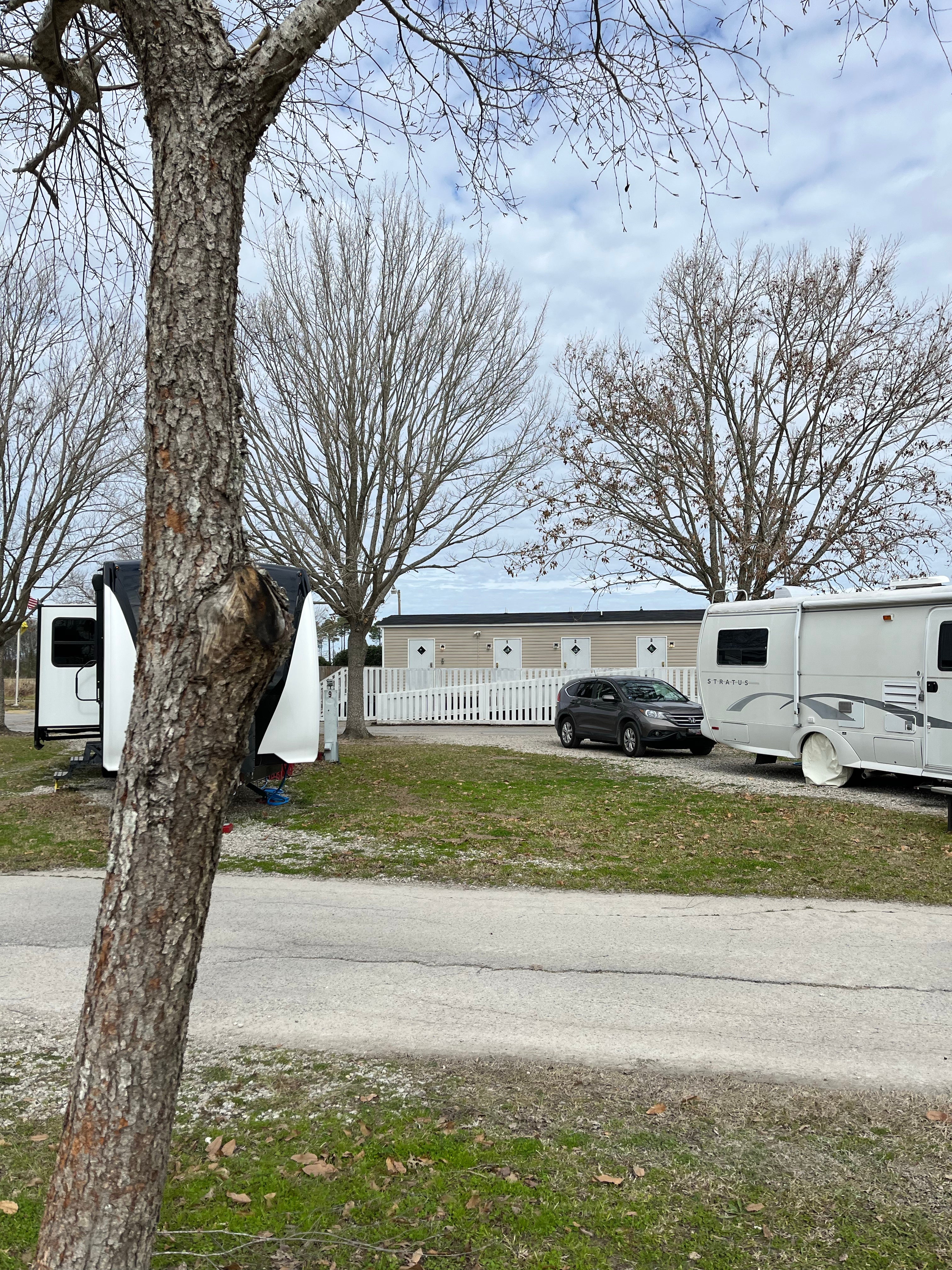 Camper submitted image from Frog City RV Park - 4