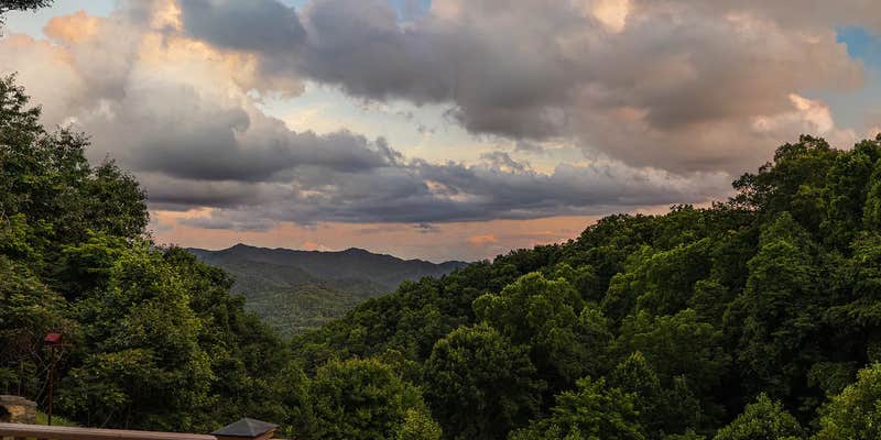 Camper submitted image from Prancing Elk Cabin