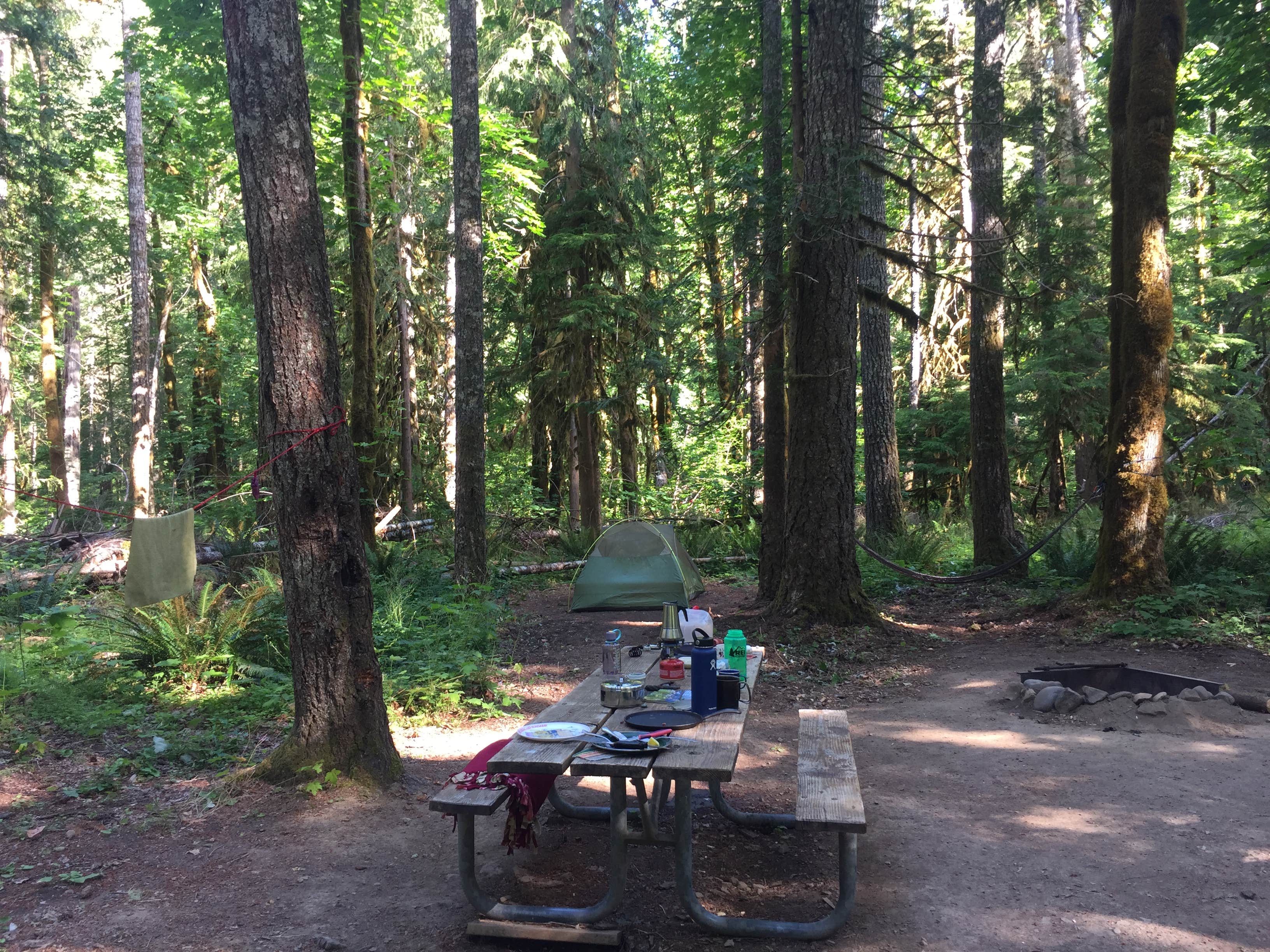 Camper submitted image from Panther Creek Campground - 4