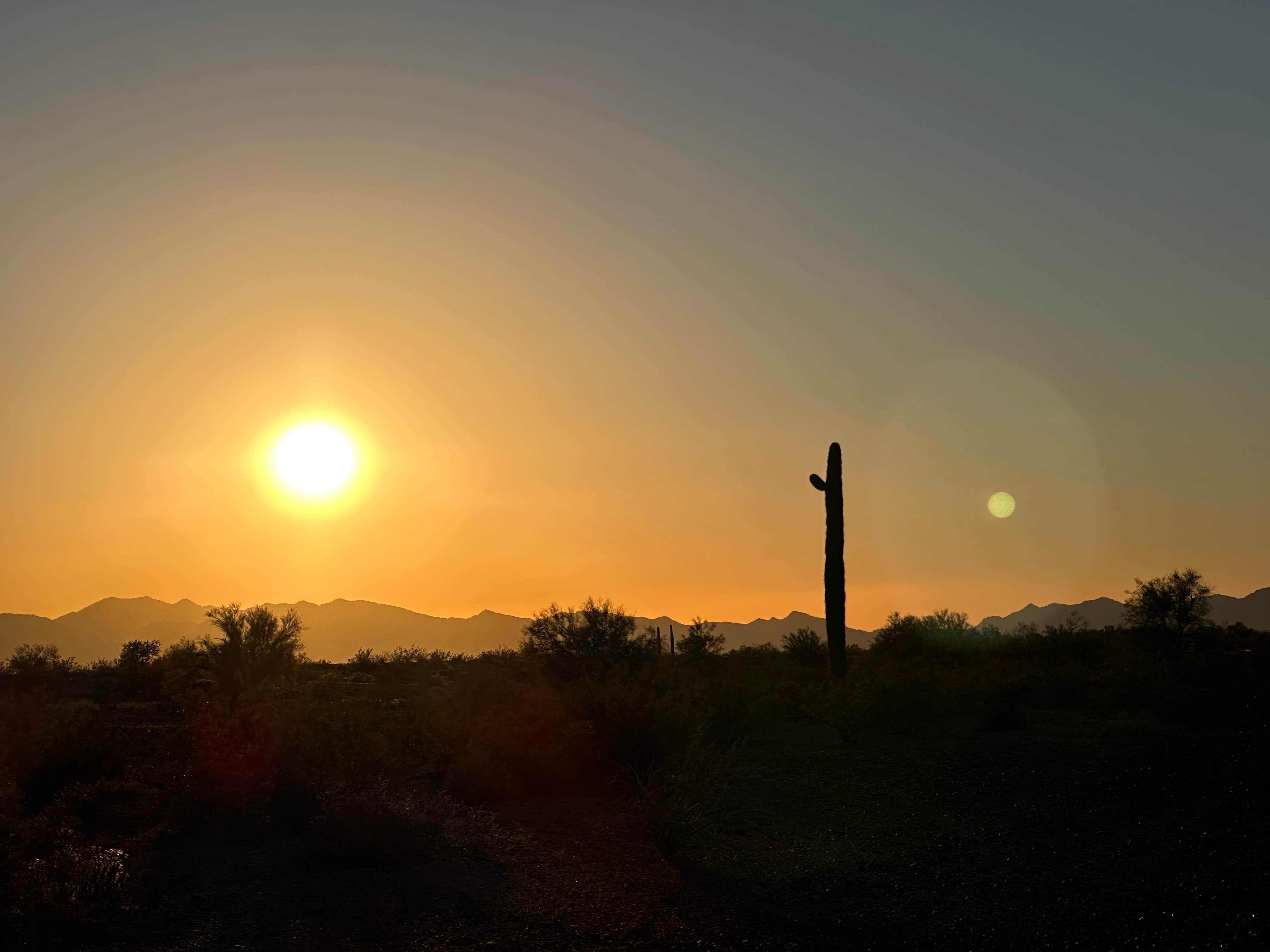 Toree M.'s photo of a dispersed camping area at Quartzite - La Posa near Blythe, CA