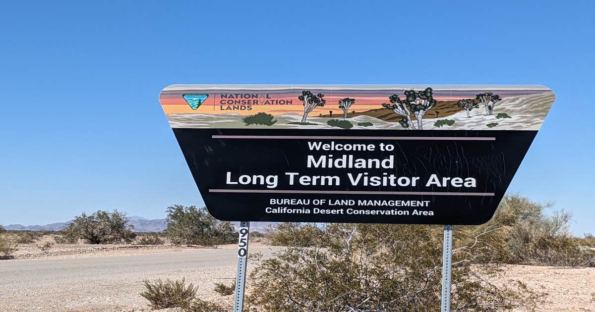 Midland LTVA Dispersed