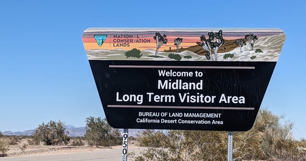 Midland LTVA Dispersed