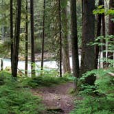 Review photo of Ohanapecosh Campground — Mount Rainier National Park by Shannon J., September 29, 2018