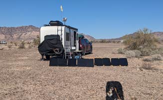 Greg L.'s photo of camping with pets at Midland LTVA Dispersed near Cibola, AZ