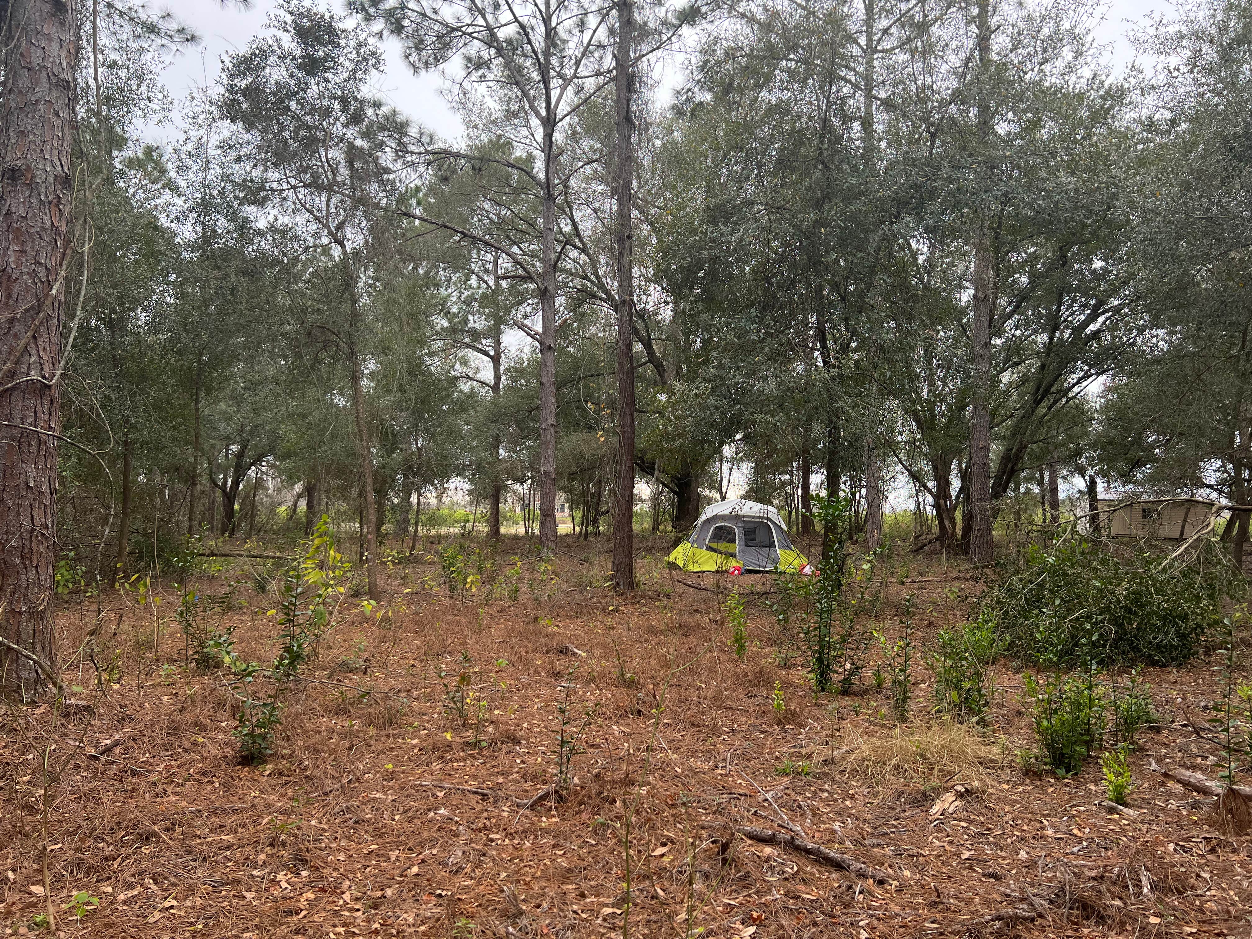 Aidan E.'s photo at Hideout at The Green Swamp! near Killarney, FL