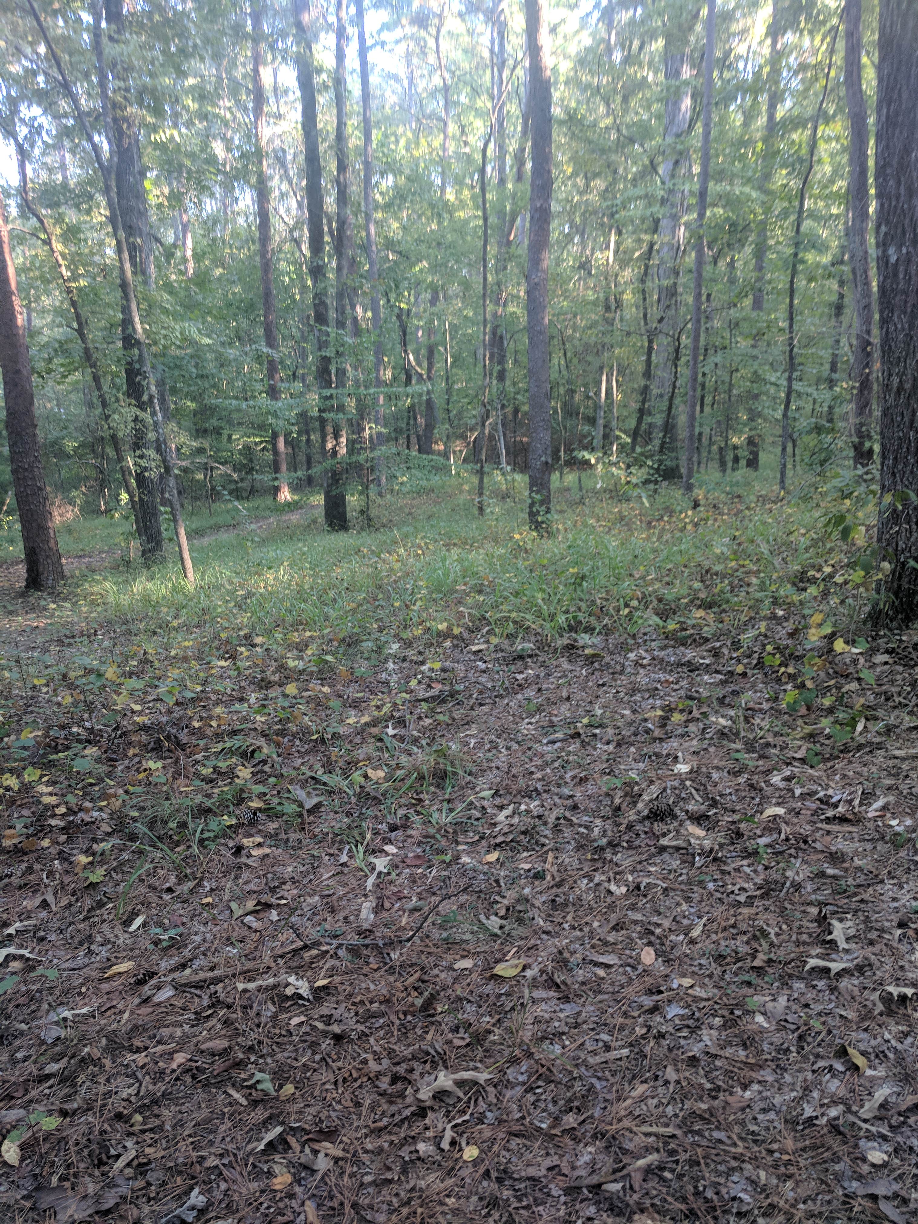 Camper-submitted photo at Cowford Campground near Rogersville, AL