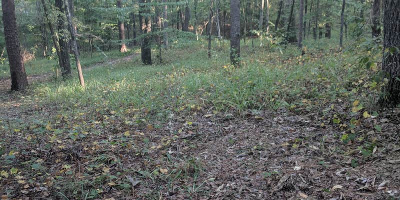 Camper submitted image from Cowford Campground