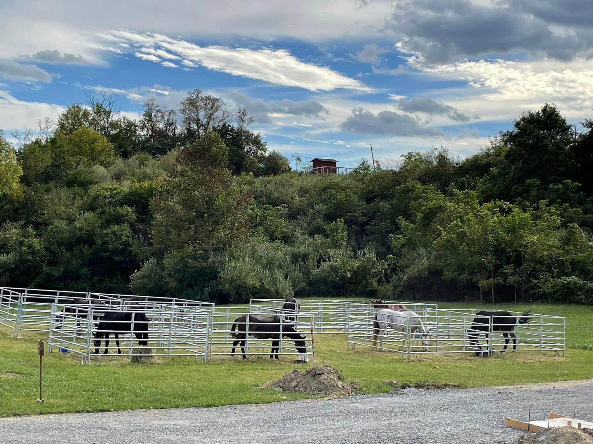Camper-submitted photo at Rock Bottom Horse Camp near Cumberland, KY