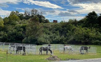 The Dyrt's photo of camping with a horse at Rock Bottom Horse Camp near Williamsburg, KY