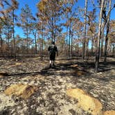 Review photo of Mutual Mine - Withlacoochee State Forest by Kaitlyn W., January 29, 2023