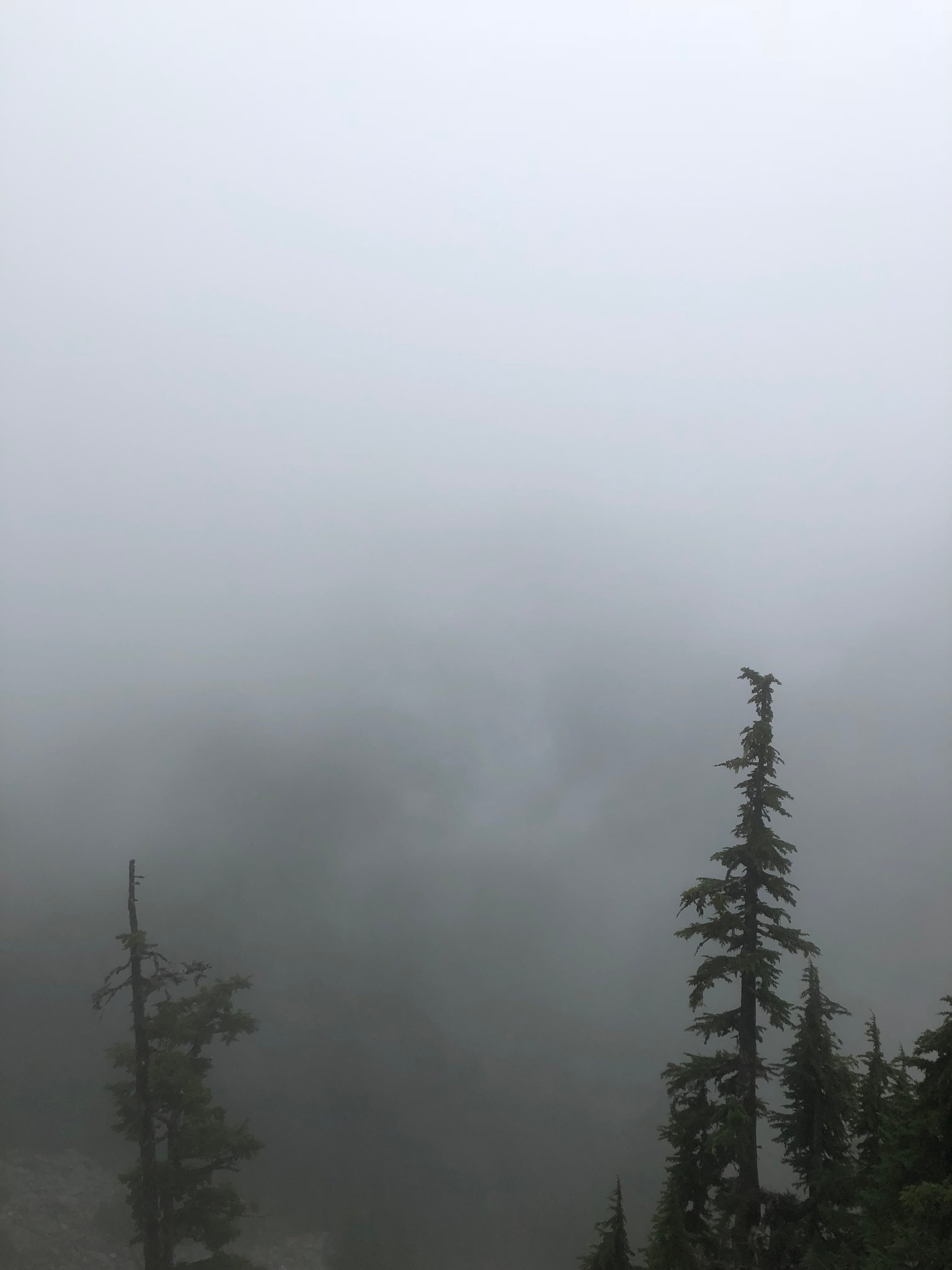 Camper submitted image from Lillian — Olympic National Park - 2