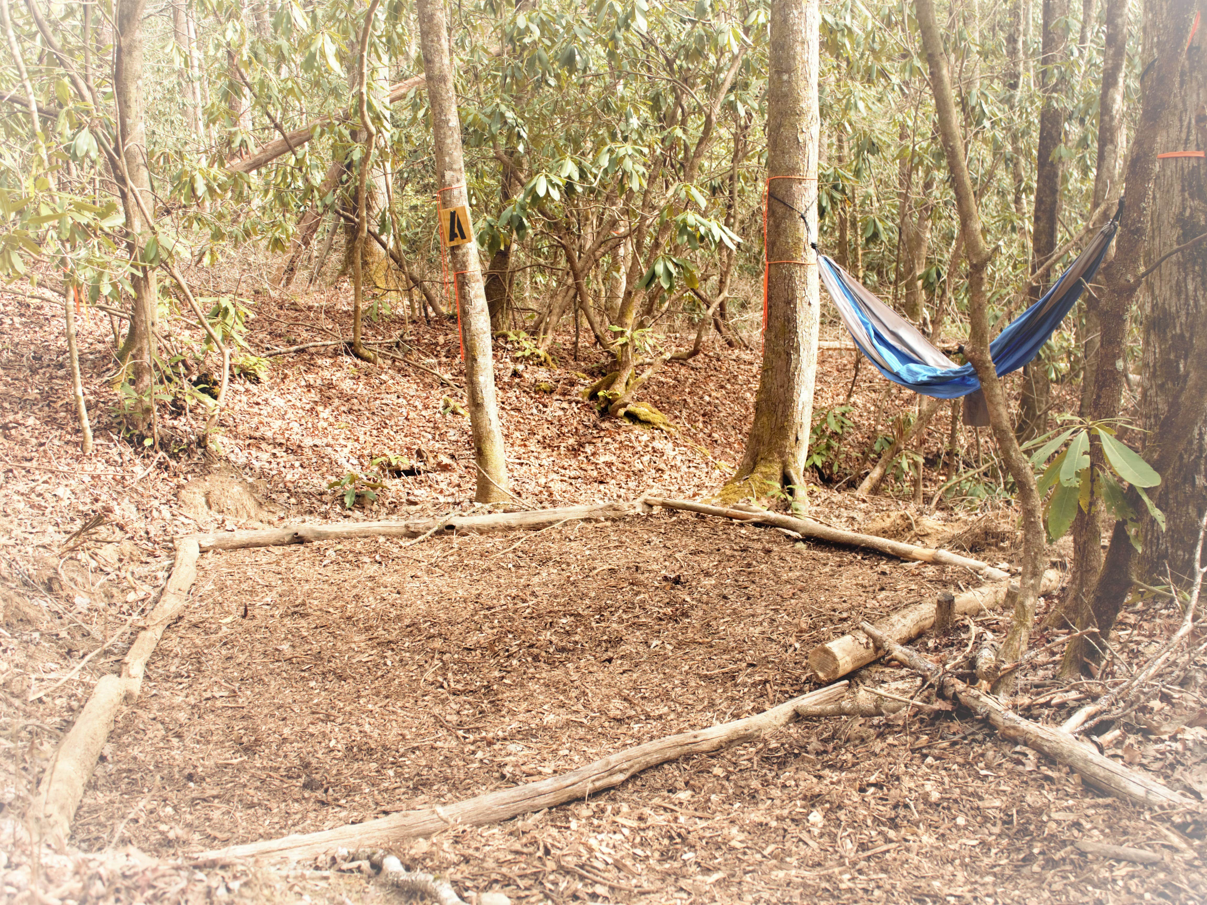 Camper-submitted photo at Backside Campground at Nantahala near Nantahala National Forest